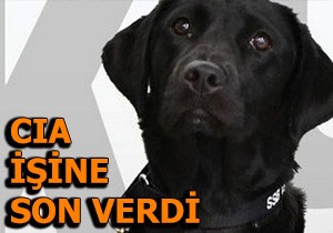 CIA işine son verdi